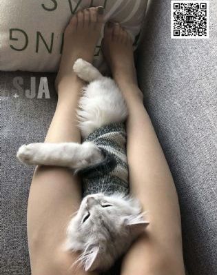 亚洲午夜精品久久久久久人妖_国产剧最新电影在线观看